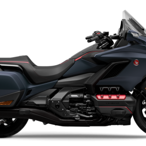 GOLD WING DCT